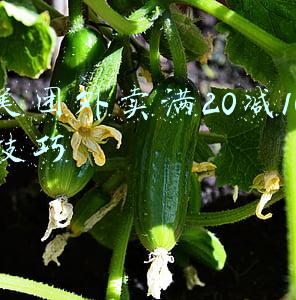 美团外卖满20减10技巧