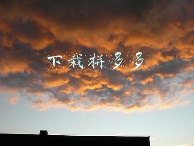 下栽拼多多