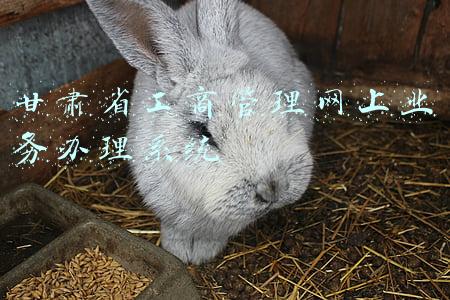 甘肃省工商管理网上业务办理系统