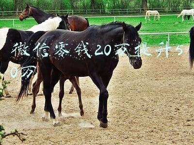 微信零钱20万提升50万要开通微众银行安全(绕过远程开户放大招，微众银行去年存款余额猛增28倍)