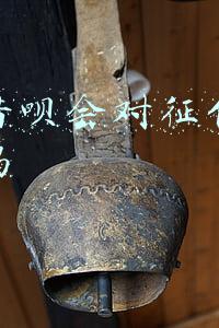 借网贷会影响征信吗(网贷是如何毁了你的征信的！五年之内难清除)