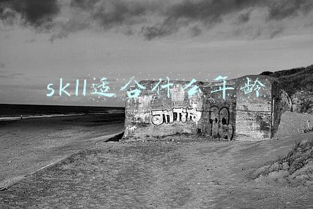 skll适合什么年龄