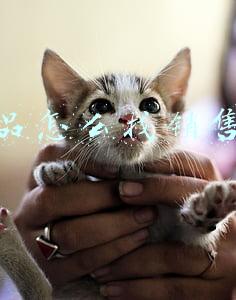 有产品怎么找销售渠道