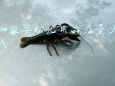婴幼儿用品加盟费多少钱;母婴用品店加盟大概需要多少钱,加盟费,周转资金等等,投资20万够吗?