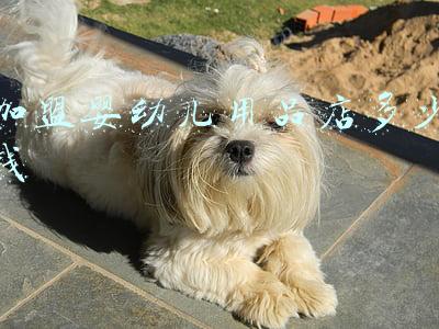 加盟母婴店大概能花多少钱?-婴儿用品加盟店费用