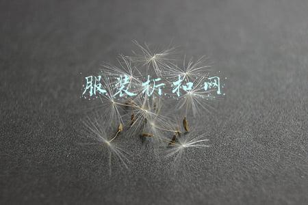 服装折扣网