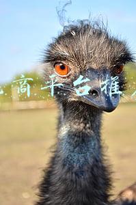 电商平台推广