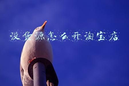 淘宝开网店怎么开 新手没有货源(新开了淘宝店，但没有货源，怎么做没有货源的网店模式？)