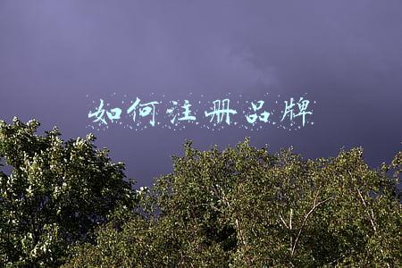 如何注册品牌