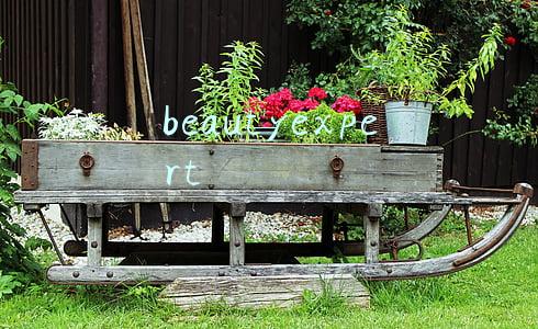 beautyexpert