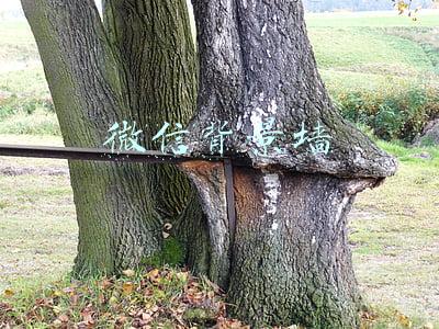 微信背景墙