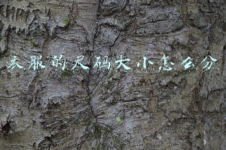 衣服的尺码大小怎么分