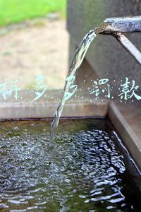 拼多多罚款