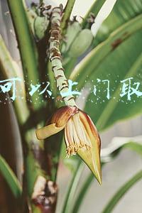邮政可以上门取件吗
