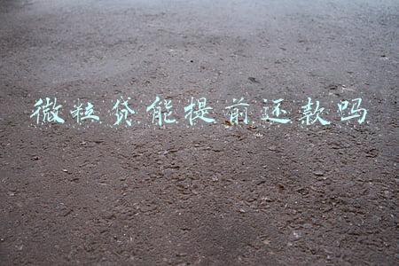 微粒贷能提前还款吗