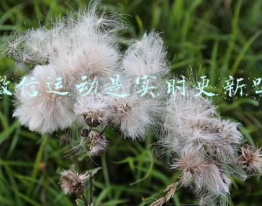 微信运动是实时更新吗