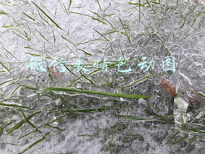 微信表情包动图