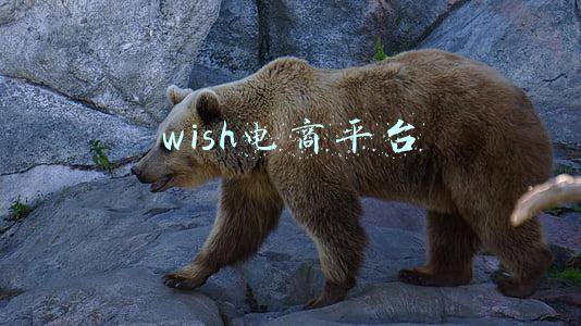 wish电商平台