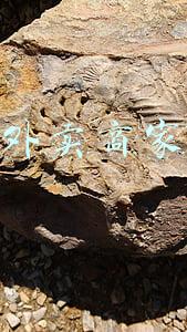 美团外卖商家中心登录(随到随检，上海金山所有核酸检测点位为外卖小哥开绿色通道)