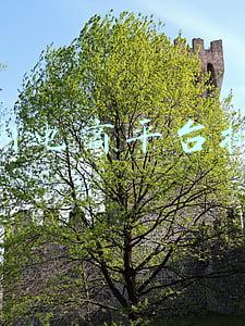 国内电商平台排名