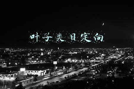 叶子类目定向