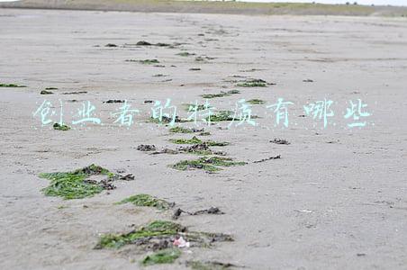 创业者的特质有哪些 A(创业者的三个特点)