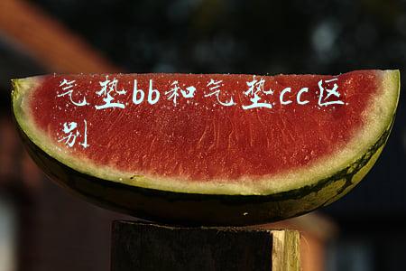 气垫bb和气垫cc区别