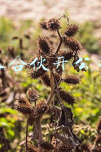 两个人合伙开公司大忌