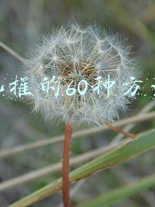地推的60种方法