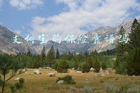 支付宝的保险靠谱吗