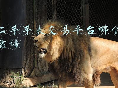 二手手表交易平台哪个靠谱百度贴吧(历峰旗下电商也卖二手表了，二手名表市场活跃度丝毫不输新表)