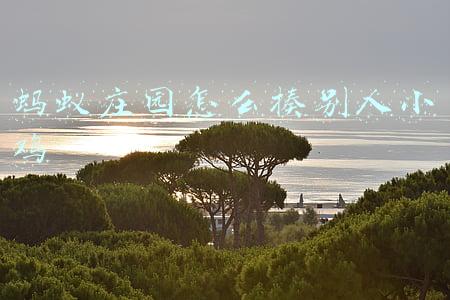 蚂蚁庄园怎么揍别人小鸡