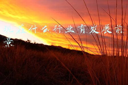 做什么行业有发展前景(未来几年哪些行业发展潜力较大)