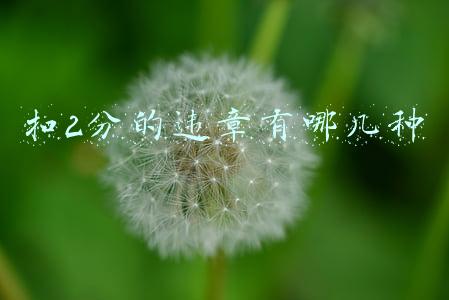 扣2分的违章有哪几种