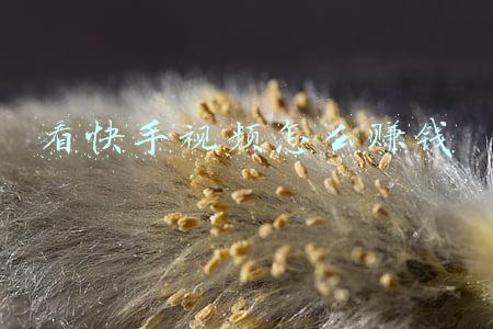 看快手视频怎么赚钱