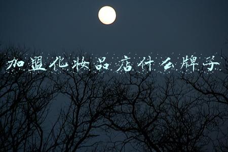 加盟化妆品店什么牌子