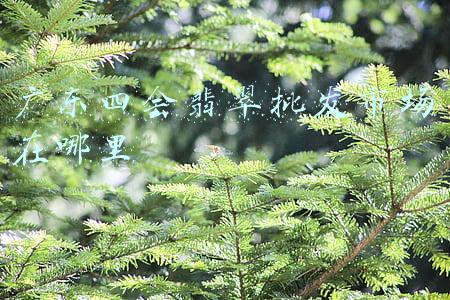 广东四会翡翠批发市场在哪里