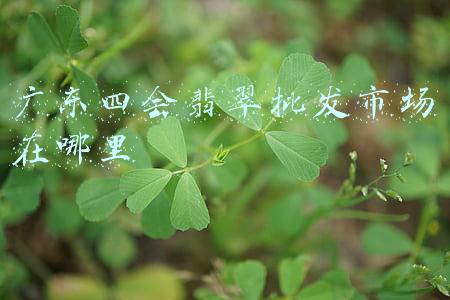 广东四会翡翠批发市场在哪里