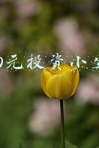 3000元投资小生意