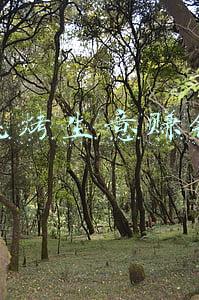 做烧烤生意赚钱吗
