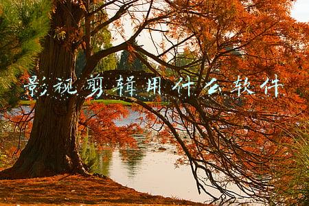 影视剪辑用什么软件