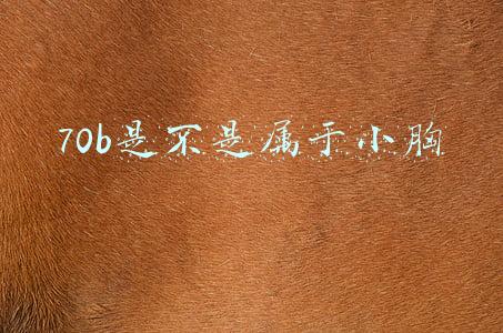 70b是不是属于小胸