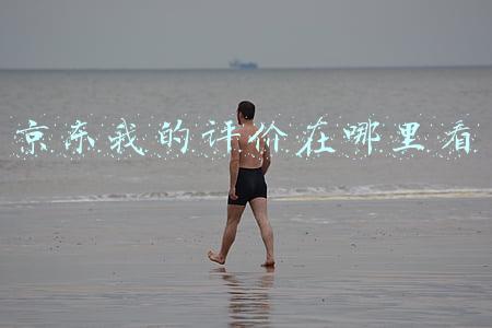 京东我的评价在哪里看