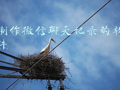 制作微信聊天记录的软件