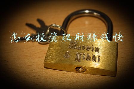 怎么投资理财赚钱快