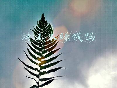 烤玉米赚钱吗