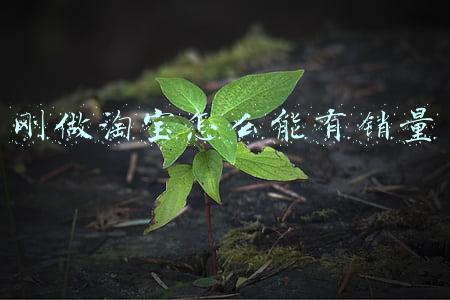 刚做淘宝怎么能有销量