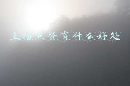 直播点赞有什么好处
