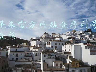 苹果官方网站查序列号查询