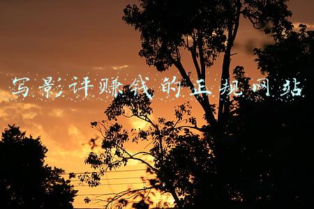 写影评赚钱的正规网站